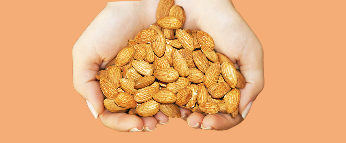 Healthy Foods That May Help You During Menopause and WHY!